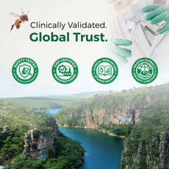 LABO Nutrition Brazilian Green Propolis Ultimate ingredients close-up panel.