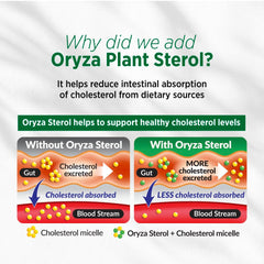 LABO Nutrition CHOLRestore box and bottle show citrinin-free and aflatoxin-free safety.
