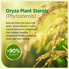 LABO Nutrition CHOLRestore vege capsules offer vegan-friendly daily lipid support.