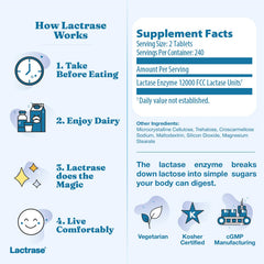 Lactrase gluten-free and fructose-free, suitable for sensitive diets.