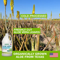 Close-up of Land Art 99.7% pure aloe label highlighting purity and quality.
