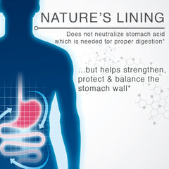 Lane Innovative Nature's Lining in-use tablet for everyday digestive balance