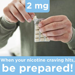 Leader Nicotine Gum Ice Mint label sugar-free on 100-count bottle