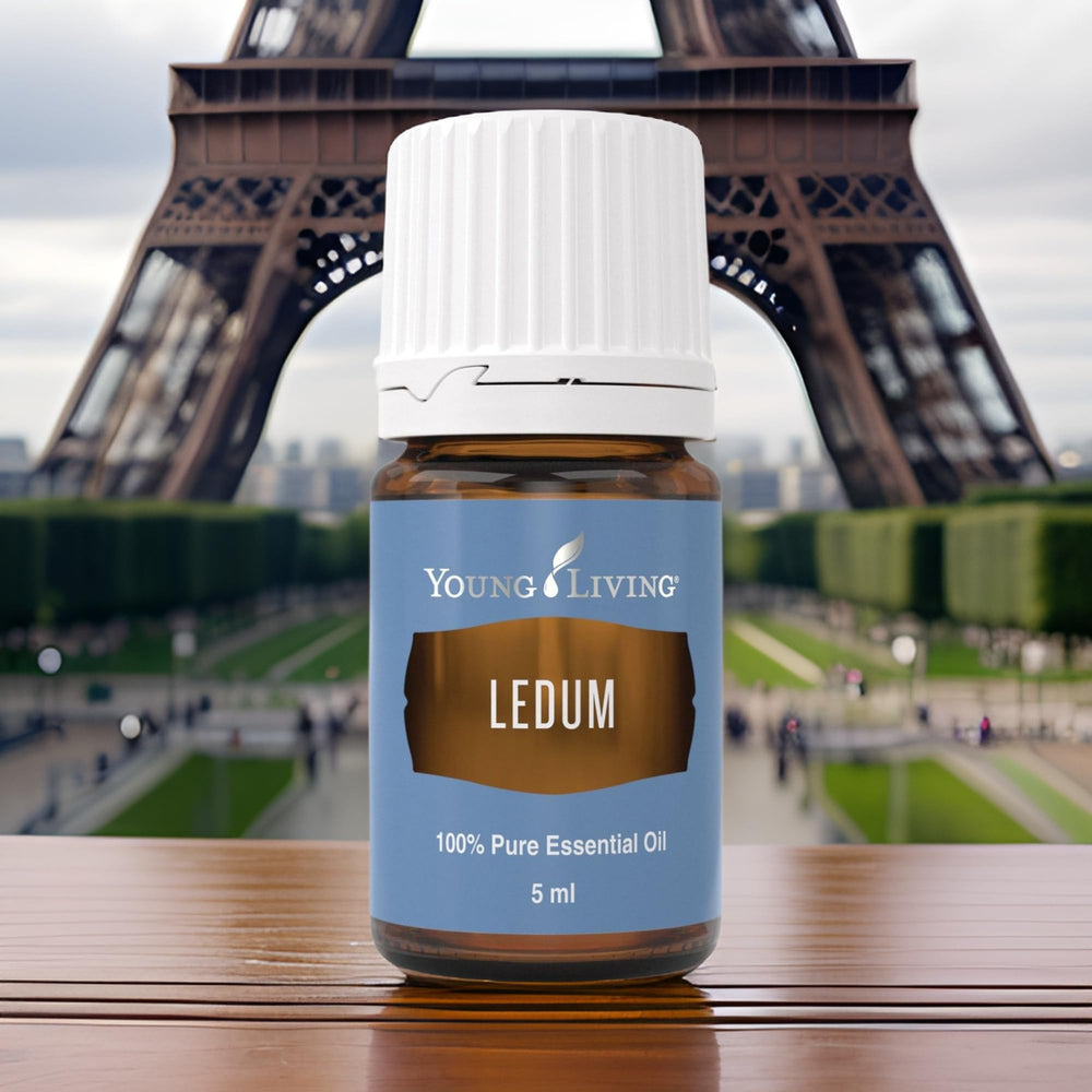Ledum Premium Oil diffuser steam creates a tranquil, sacred atmosphere during practice