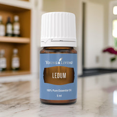 Ledum Premium Oil Massage ritual highlights soothing, relaxing sessions
