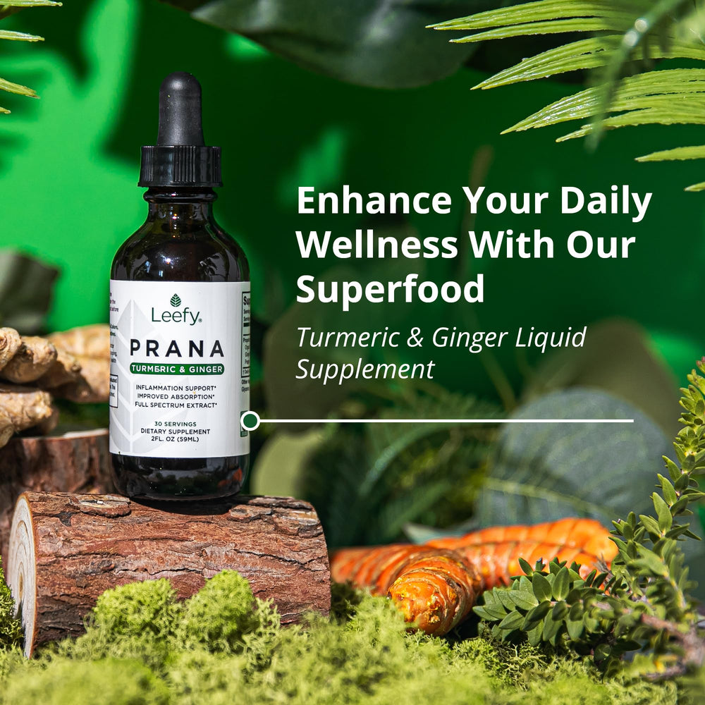 Leefy PRANA liquid turmeric with ginger and black pepper suggests absorption support.