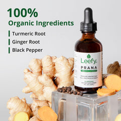 Leefy PRANA organic ingredients label highlights vegan, gluten-free, non-GMO formulation.