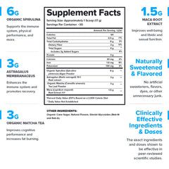 LEGION Genesis Greens scoop dispensing measured greens and adaptogens.