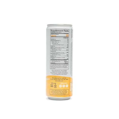 Leilo ingredients plant-based image indicates natural kava and citrus flavors.