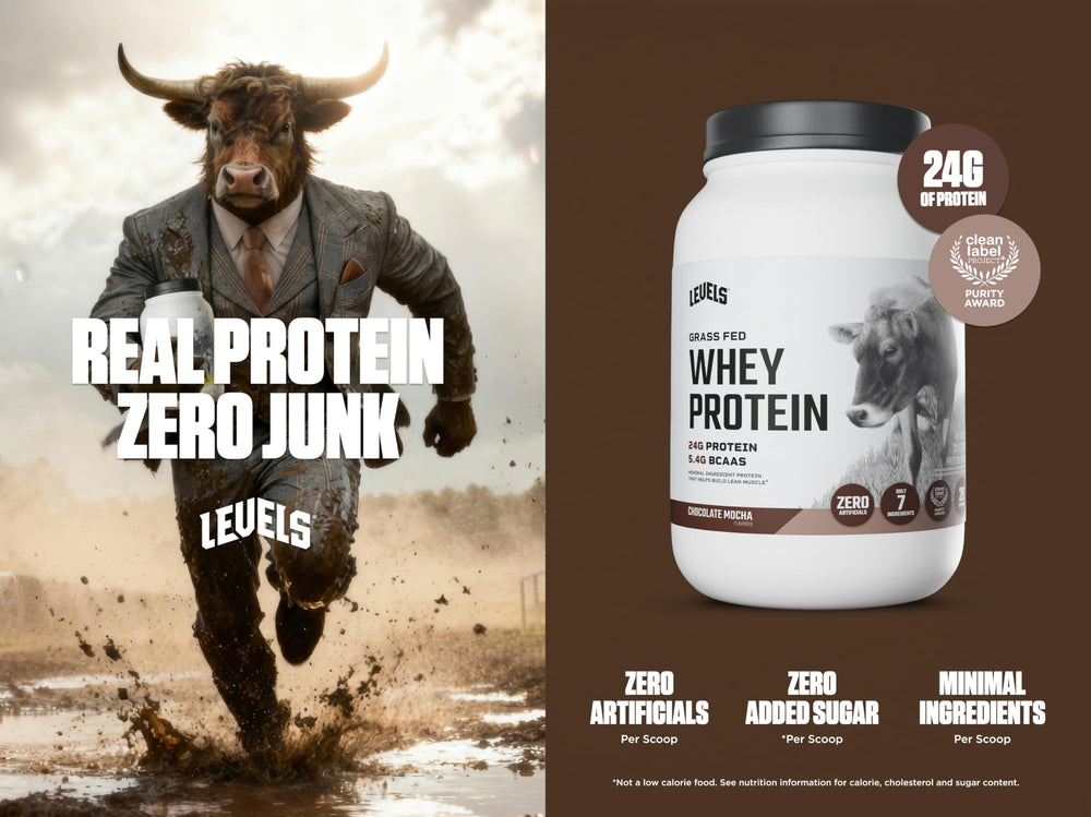 Levels Grass Fed Whey Chocolate Mocha scoop on tub for precise portions
