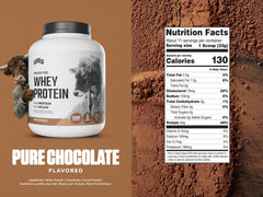 Levels Pure Chocolate whey scoop ready for post-workout fueling.