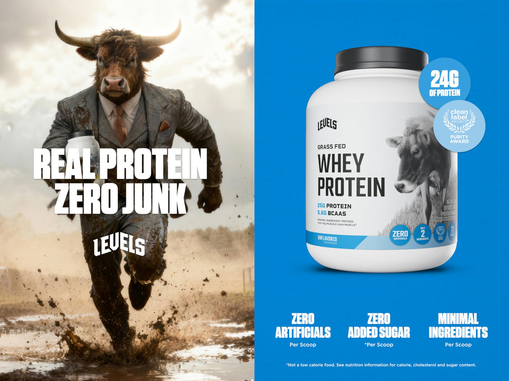 Levels unflavored whey close-up texture, ideal for versatile mixing with no added flavors.