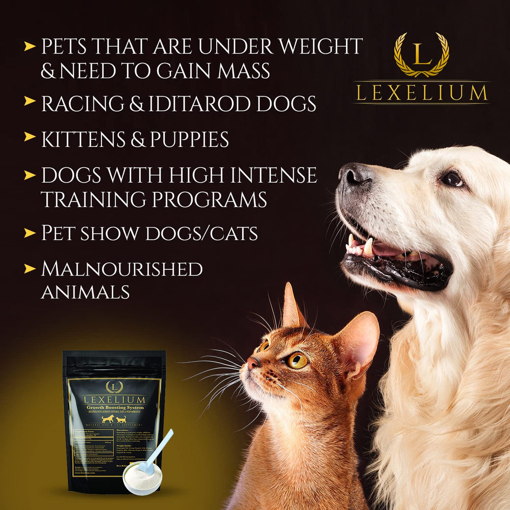 Hydrolyzed beef in Lexelium gainer supports protein absorption.