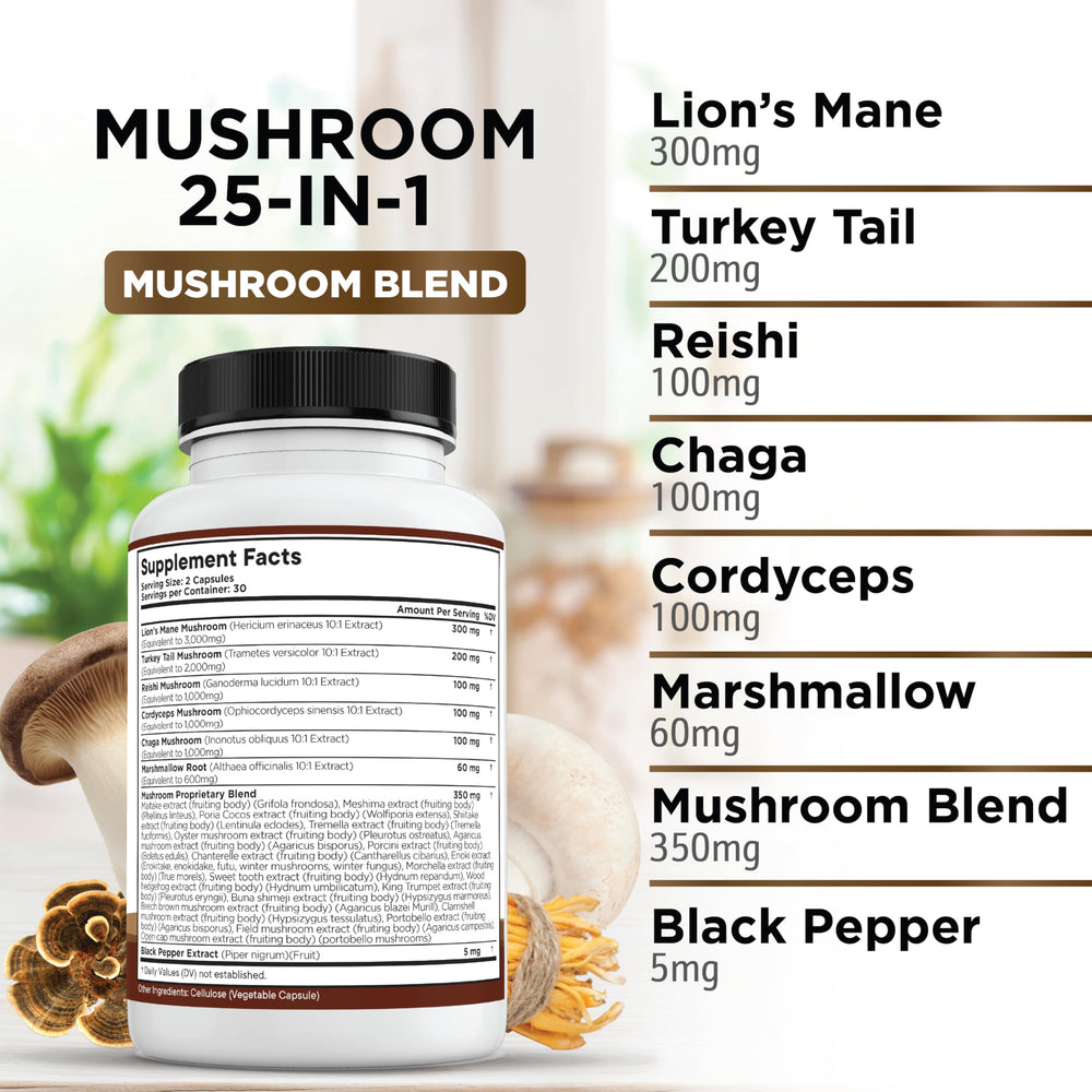 Liberty Lifestyle Reishi Cordyceps Chaga bottle detail highlights mushroom blend