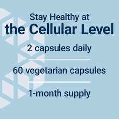 GEROPROTECT Stem Cell capsule closeup showcasing vegetarian capsules for daily use.