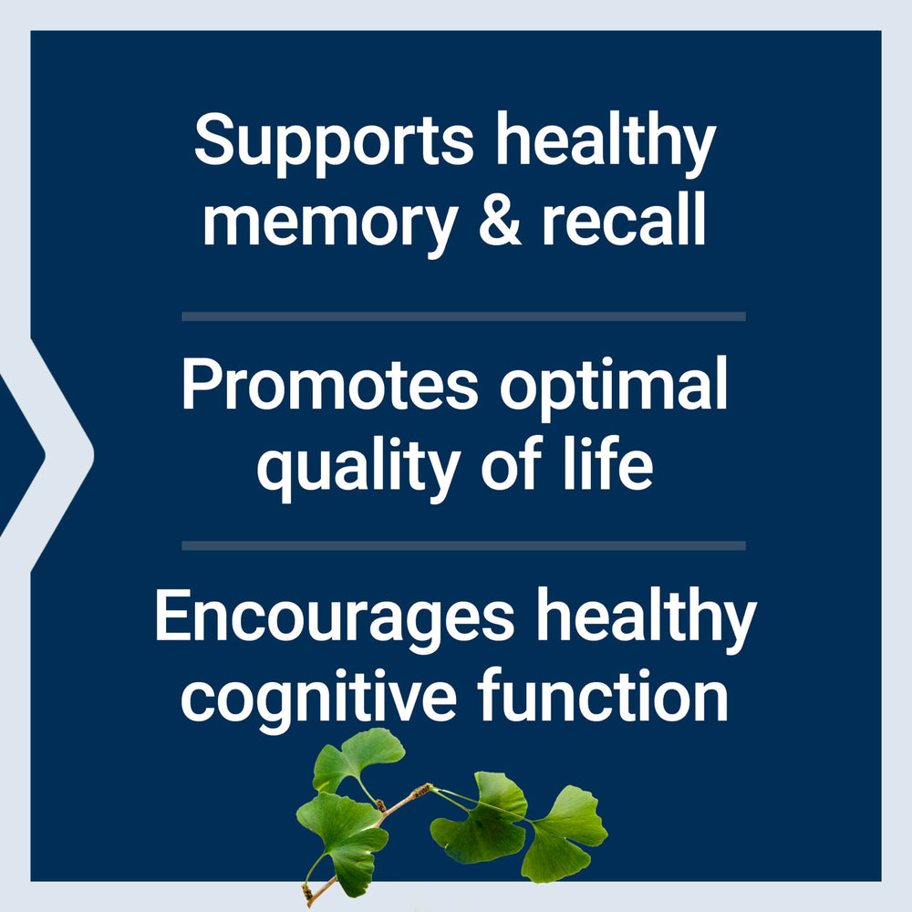 Contains 6% terpene lactones for balanced brain function