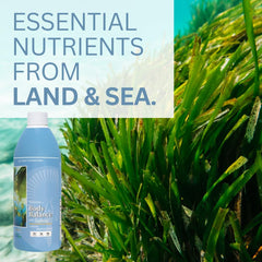 Life Force Body Balance SeaNine blend of sea vegetables shown for mineral diversity