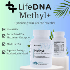 LIFEDNA Methyl B12 blend graphic emphasizing nerve function and energy metabolism
