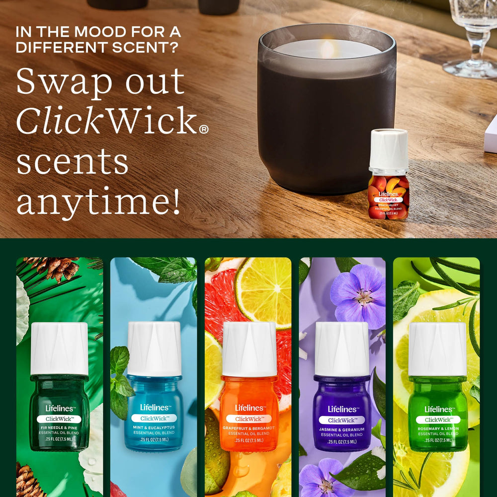 Vanilla Tangerine blend display for warm, inviting home ambience.