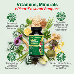 Life's Fortune visual signaling immune support with nutrient-rich imagery