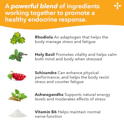 LifeSeasons Adrenal-T bottle label close-up showing clinical blend