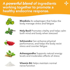 LifeSeasons Adrenal-T bottle label close-up showing clinical blend