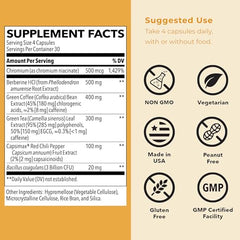 LifeSeasons GLP-1 Support label close-up highlighting metabolism-support ingredients.