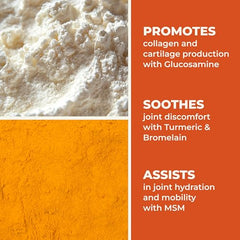 LifeSeasons Mobili-T ingredients blend graphic highlighting MSM, chondroitin, glucosamine, and turmeric.