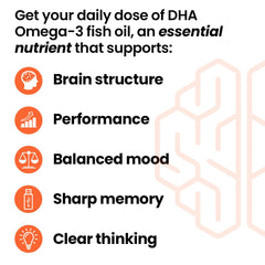 LifeSeasons NeuroQ-400 softgel closeup showcases high-potency DHA for memory support.