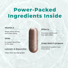 Ginkgo biloba and grape seed imagery represent antioxidant blends in Visibili-T.