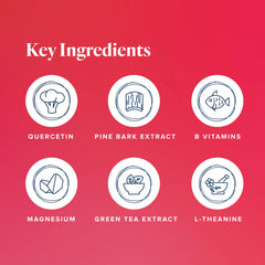 L-theanine and green tea ingredients highlighted for cognitive support