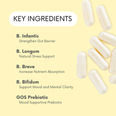 Lifted Naturals Probiotics capsules closeup showing uniform pills for daily mood and digestion.