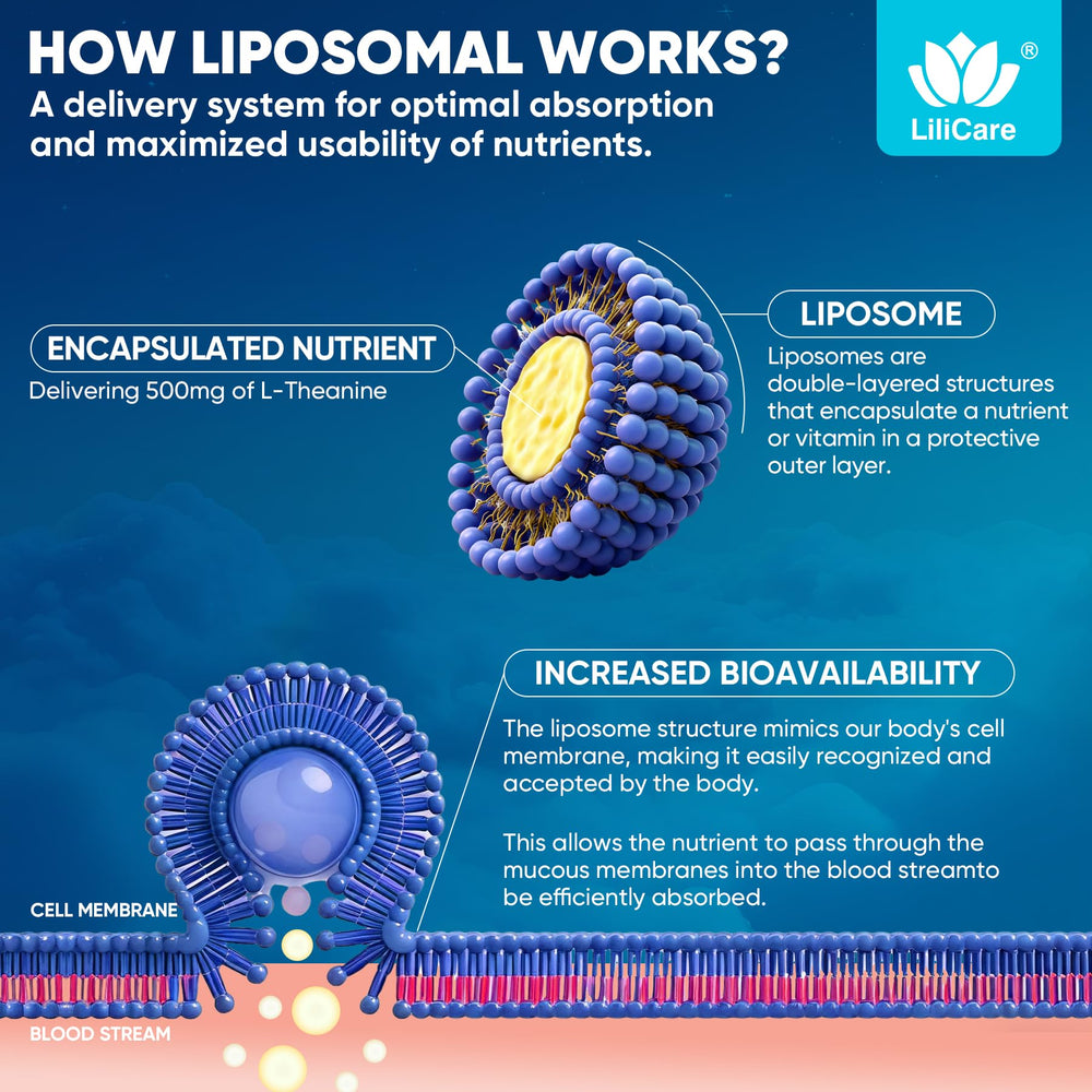 Reishi mushroom in the formula suggesting adaptogenic calm from LILICARE.