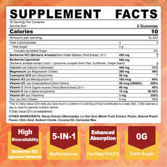 LILICARE liposomal berberine technology graphic highlighting absorption