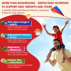 LILICARE magnesium-b12-b6 support bottle highlights mood and energy synergy.