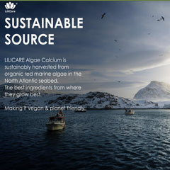 LILICARE nutrition facts panel highlights 70+ trace minerals in algae calcium formulation.