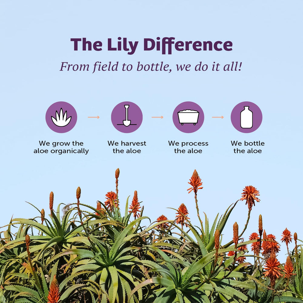 Non-GMO vegan kosher badge on Lily of the Desert aloe juice packaging