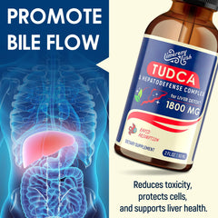 LimerenxLush TUDCA Liver Support Drops ingredients list showcases NAC, Schisandra, and Dandelion.