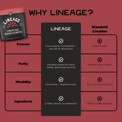 Lineage Provisions creatine-powder-in-water supports hydration-friendly use.