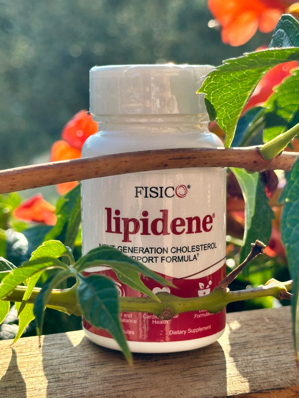 Lipidene Bergamot extract visual emphasizes cholesterol balance potential