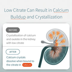 LithoLyte citrate-rich stick emphasizes concentrated citrate benefits.