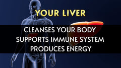 LIVERITE Liver Aid in use: hand holding bottle for on-the-go.