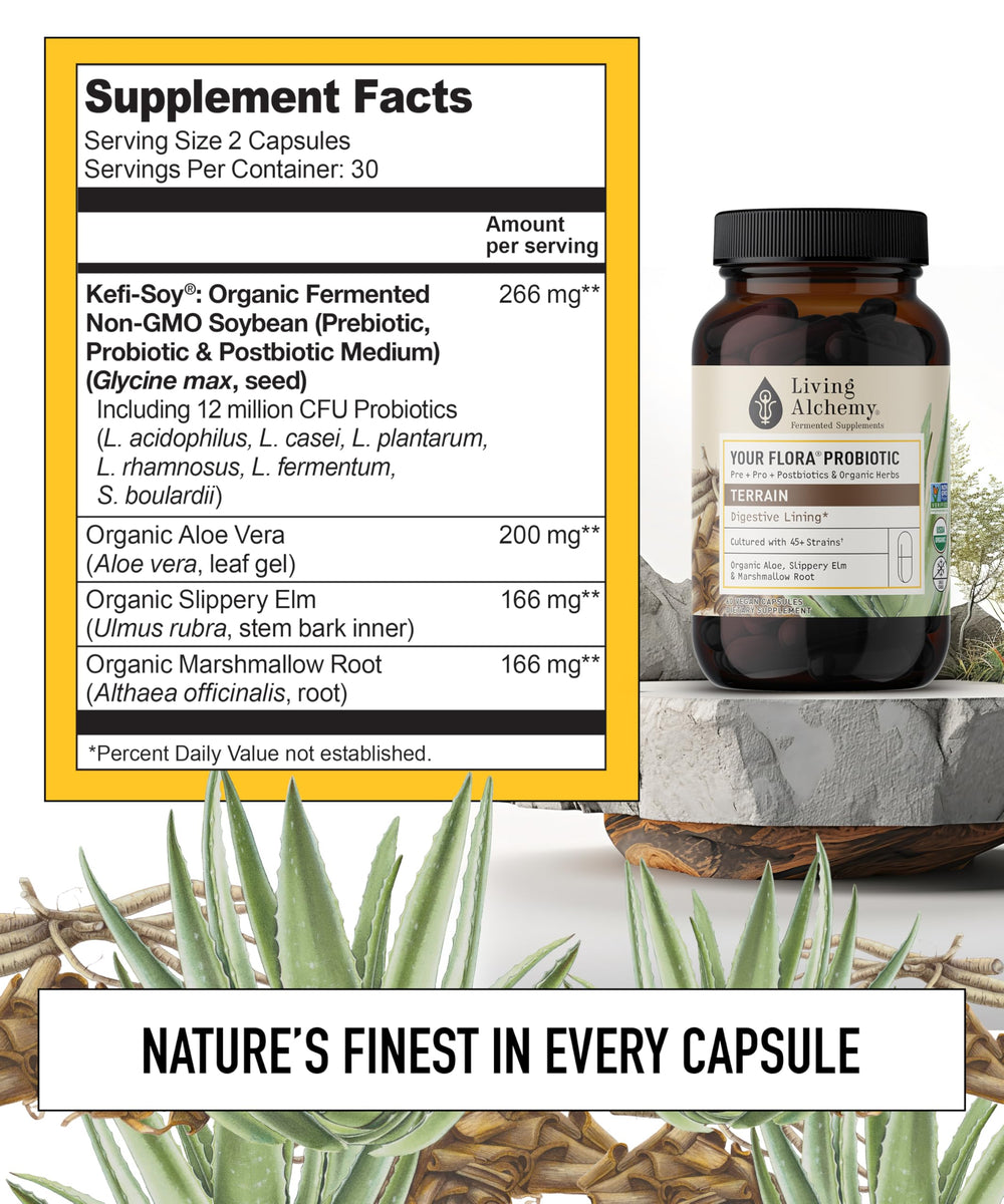 Aloe vera visual demonstrates soothing plant extract used in Your Flora Terrain.