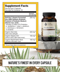 Aloe vera visual demonstrates soothing plant extract used in Your Flora Terrain.