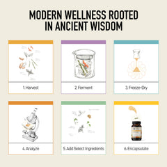 Living Alchemy gut and joint support pack portrays versatile use for an active lifestyle.