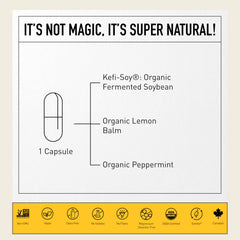 Living Alchemy fermentation process illustrates Symbio Kefir-Kombucha potency.