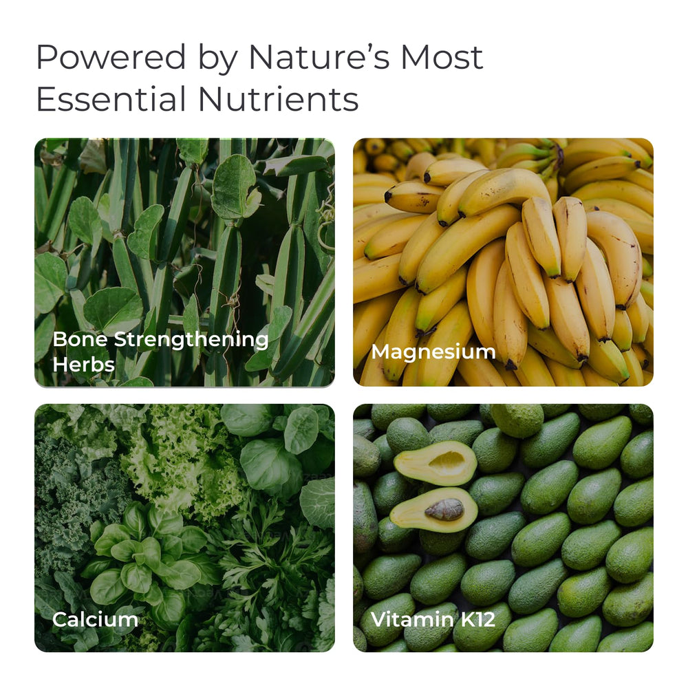Livingood Daily 12-in-1 ingredients visualization featuring calcium, magnesium, D3 and K2