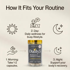 LL Supplement Daily5 gold-cap edition packaging for premium daily health