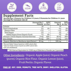 Llama Naturals Elderberry Gummies for Kids bottle label, organic ingredients for daily wellness.