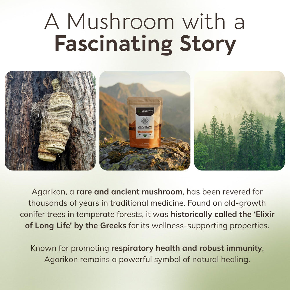 Longevity Botanicals Agarikon powder used for immune support in daily routine